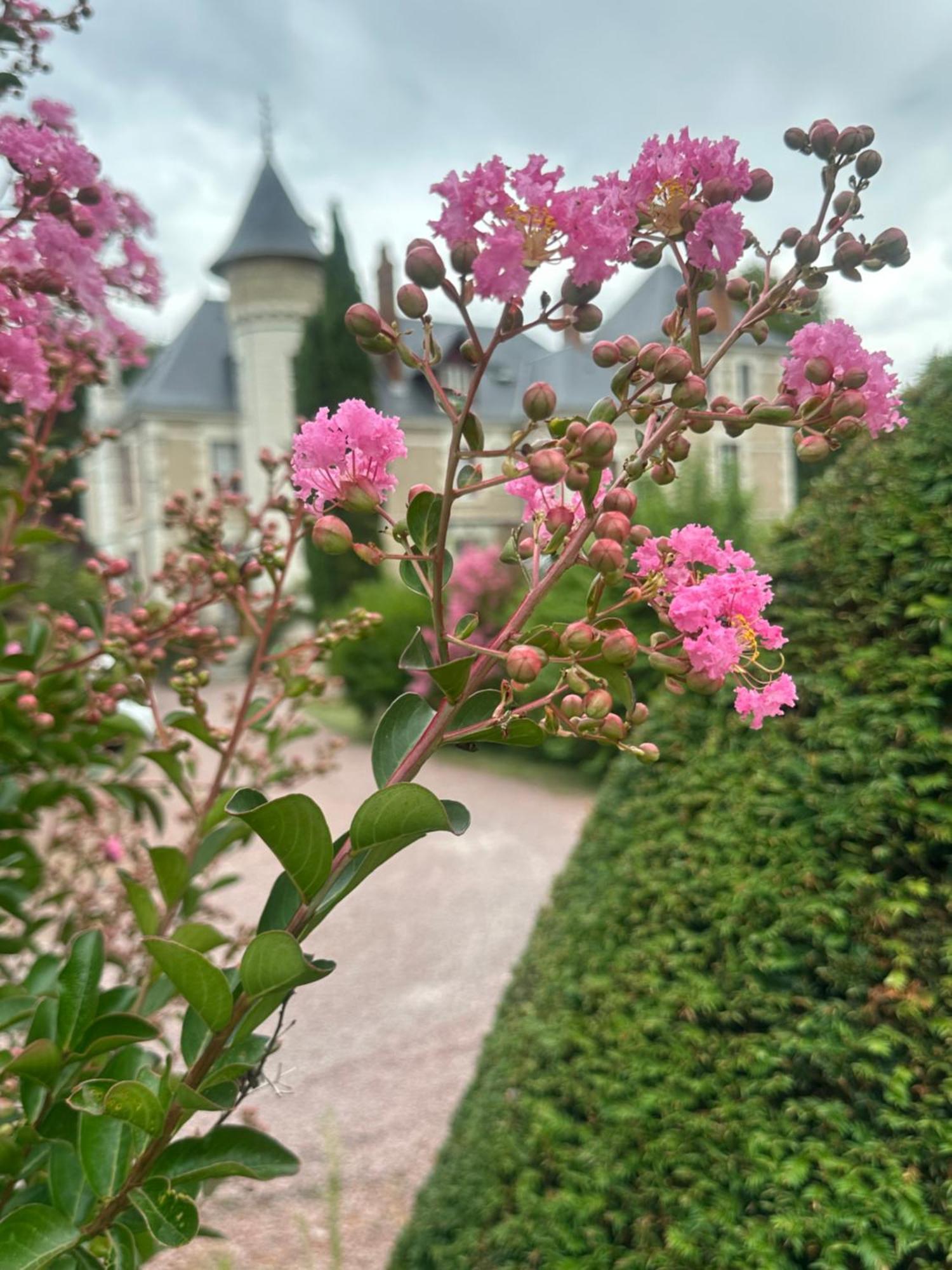 Le Moulin De Francueil Bed & Breakfast ภายนอก รูปภาพ