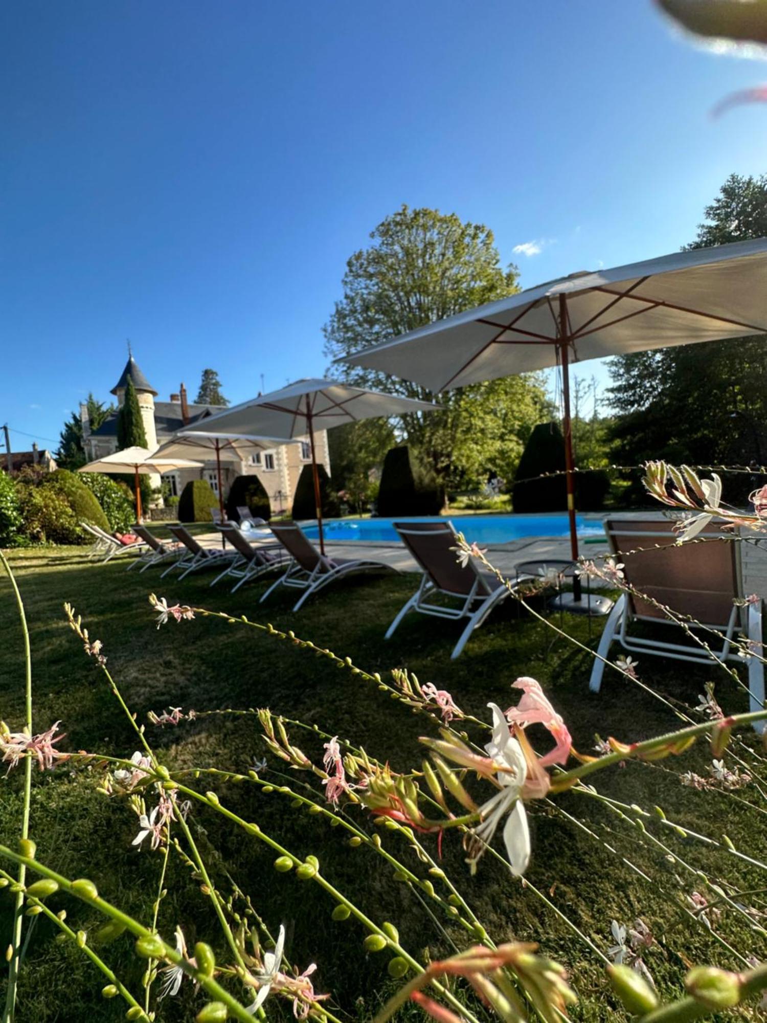 Le Moulin De Francueil Bed & Breakfast ภายนอก รูปภาพ
